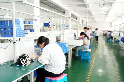 潍坊综合保税区 深化金融服务创新，无形资产变“真金白银”，技术服务助力企业发展