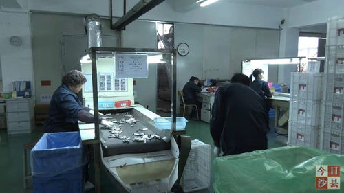 金杨科技春节不打烊，增资扩产技术服务忙