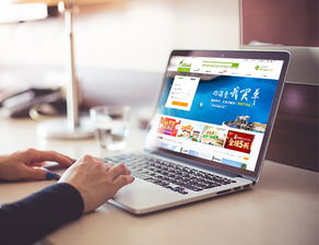 创研科技 专业营销型网站建设与移动开发服务