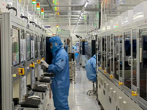 金融活水悉心浇灌，技术服务护航民营经济满帆前行